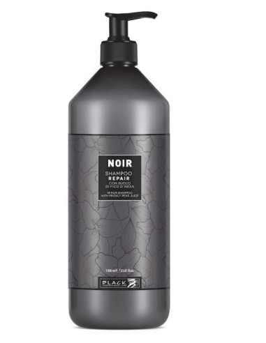 Black professional Champô reparador Noir 1000ml