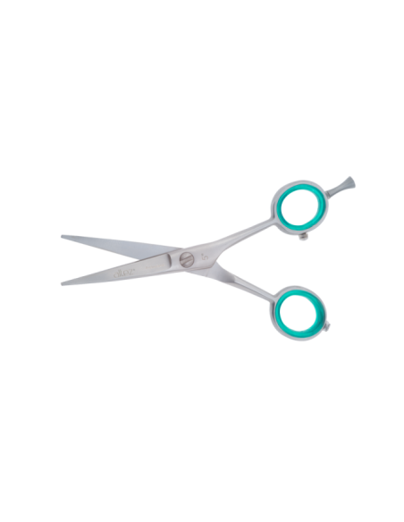 Tesoura HAIR Professional 5.5´´