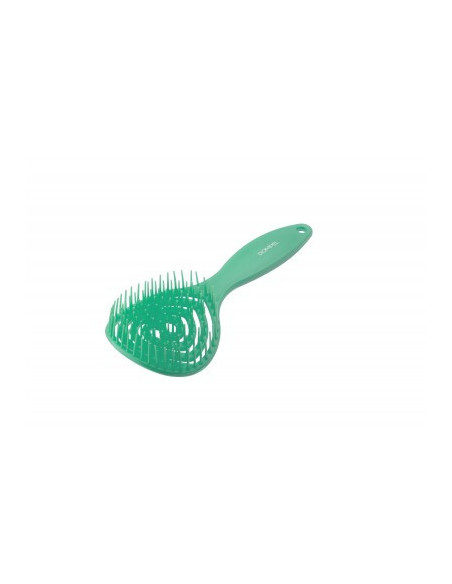 Escova Pirulito Verde