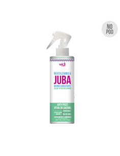 Widi Care Revitalizando a Juba Bruma Hidratante 300ml