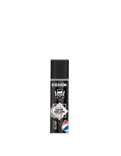 Spray Cor Fantasia Instantâneo Prata Ossion 150ml