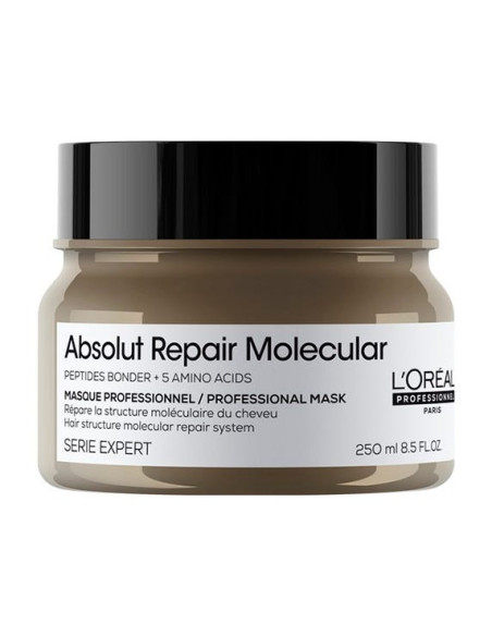 L'Oreal Máscara Absolut Molecular 250ml