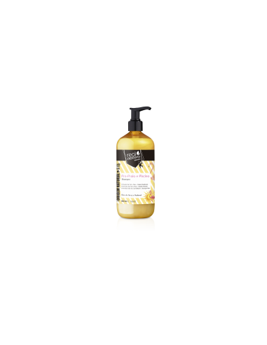 Real Natura Champô Praia & Piscina 500ml