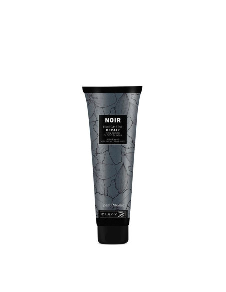 Máscara reparadora Noir 250ml