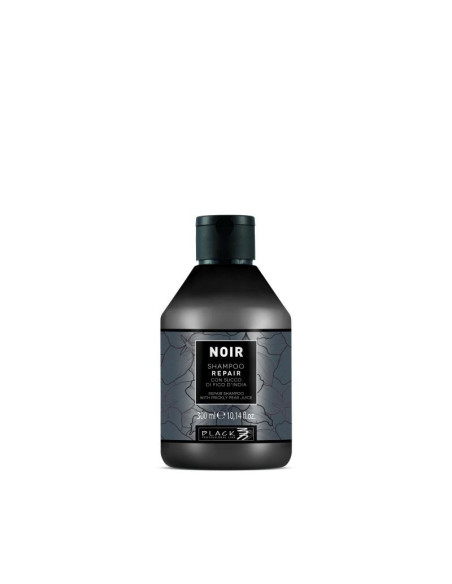 Black professional Champô Repair Noir 300ml