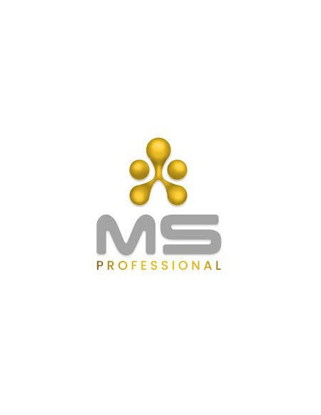 MS Professional