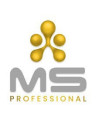MS Professional