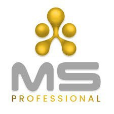 MS Professional